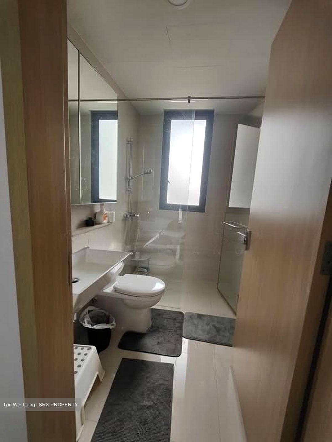 Boathouse Residences (D19), Condominium #563657701